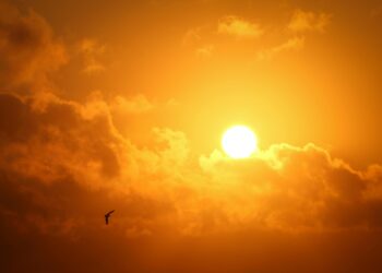 Prevén temperaturas de hasta 36°C en Ciudad Juárez durante el fin de semana