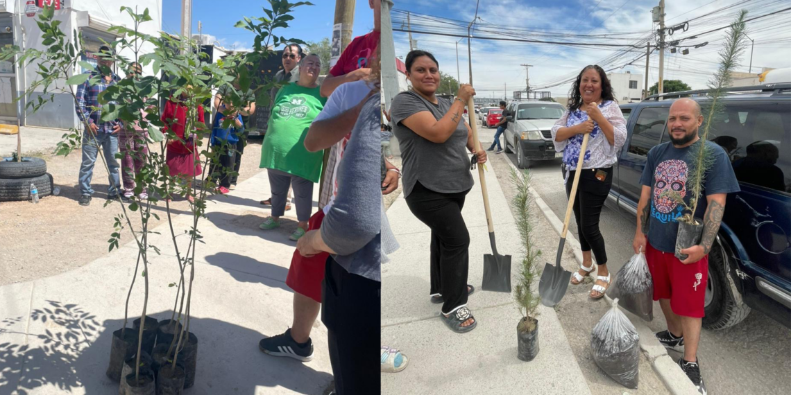Impulsan participación ciudadana con entrega de árboles en Valle de los Olivos