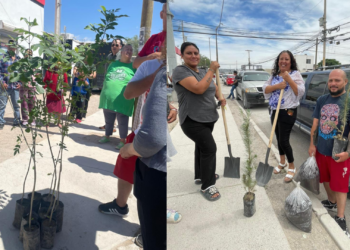 Impulsan participación ciudadana con entrega de árboles en Valle de los Olivos
