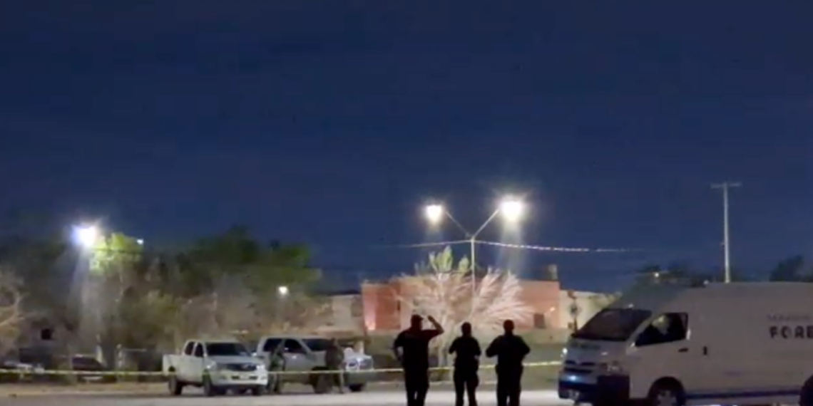 Hombre es asesi.nado a bala.zos en Paseos del Alba