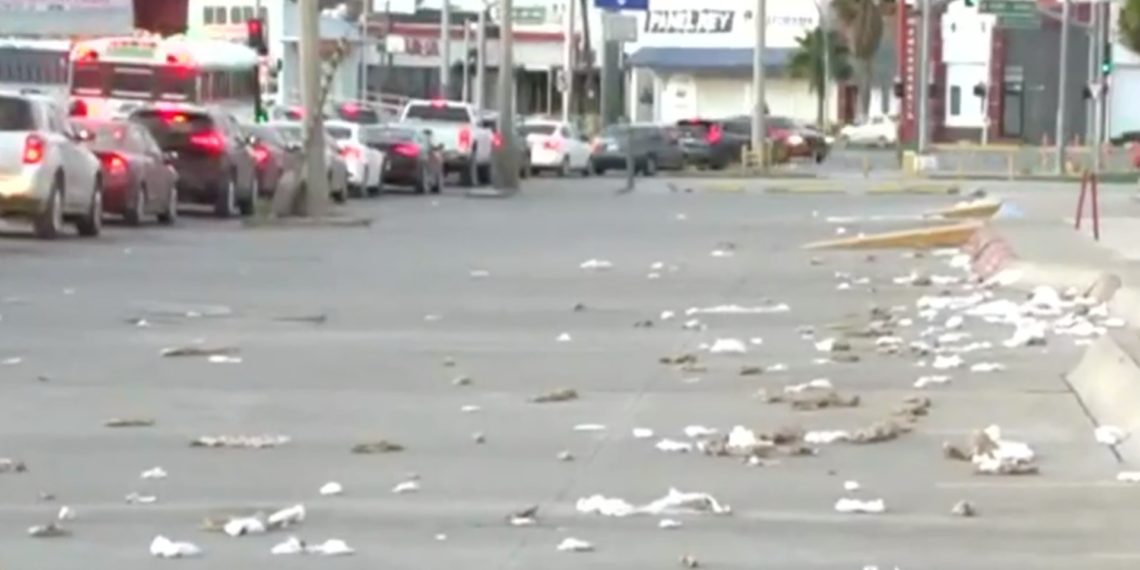 Basura dispersa genera foco de infección en la avenida Antonio J. Bermúdez