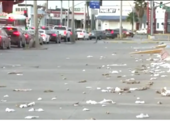 Basura dispersa genera foco de infección en la avenida Antonio J. Bermúdez
