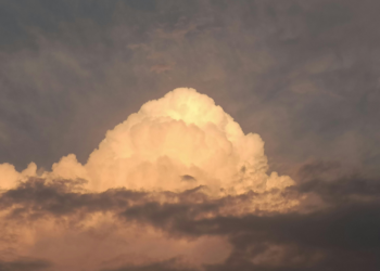 Clima cálido con probabilidad de lluvia para este viernes en la región