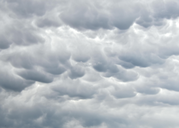 Clima con viento fuerte y tolvaneras obliga a extremar precauciones en la ciudad