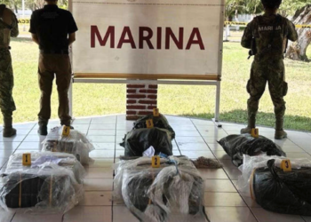 Aseguran 265 kilos de cocaína en costas de Michoacán; evitan distribución de más de 500 mil dosis