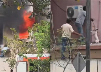 Graban rescate de perrito atrapado durante incendio en edificio de Veracruz