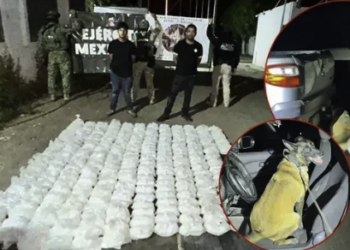 Cae cargament. de dr.gas en Navojoa; K-9 detecta más de 130 kilos ocultos