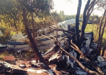 Avión estrellado entre árboles.