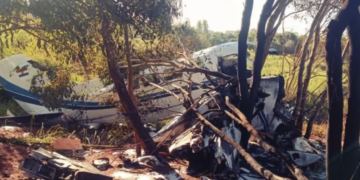 Avión estrellado entre árboles.