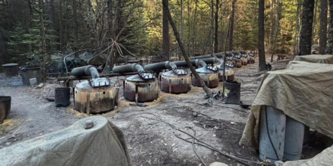 ¿Agentes extranjeros pueden operar en México? Esto dice la ley tras caso en Chihuahua