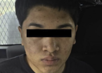 Detienen a joven en Ecatepec por transportar crías de mono y tortugas para rituales