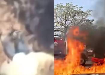 Así fue la captura en Nayarit a “El Jardinero”, presunto operador del CJNG y posible sucesor del Mencho