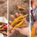 Niña se vuelve viral por hacerle manicure a una gallina y conquistar las redes