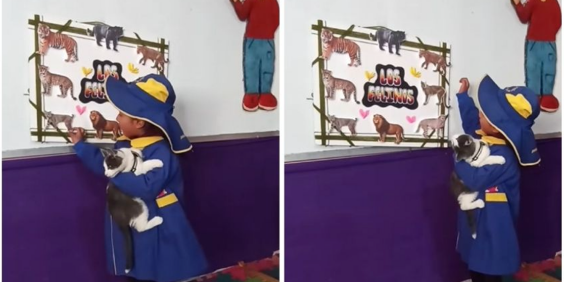 Niña sorprende en exposición escolar al incluir a su gato y promover la adopción