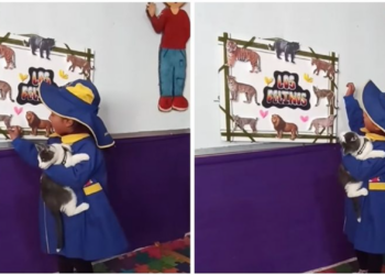 Niña sorprende en exposición escolar al incluir a su gato y promover la adopción