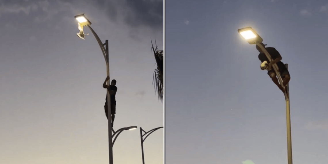 Joven arriesga su vida para rescatar a una gaviota en el malecón de La Paz