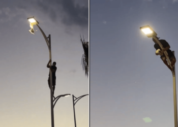 Joven arriesga su vida para rescatar a una gaviota en el malecón de La Paz