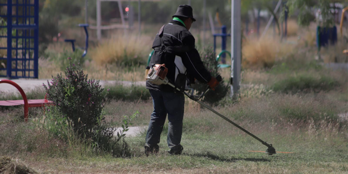 Realizan mantenimiento en parque de Jardines del Valle para mejorar espacios públicos en Ciudad Juárez