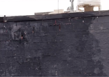 Arresto de muralistas en Juárez Nuevo desata debate entre libertad de expresión y provocación política