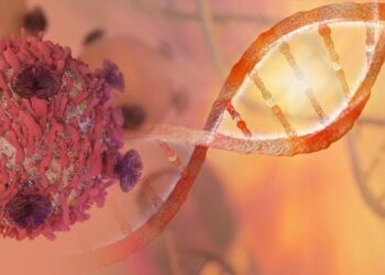 Imagen sacada de internet