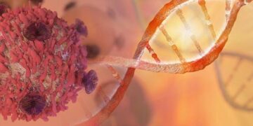 Imagen sacada de internet