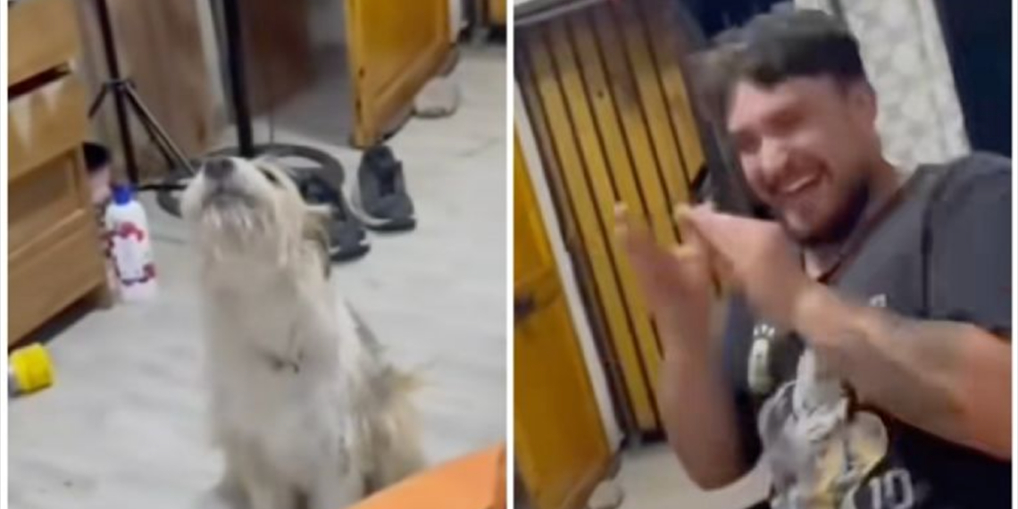 Perrito “canta” con su dueño y conquista TikTok con su ternura