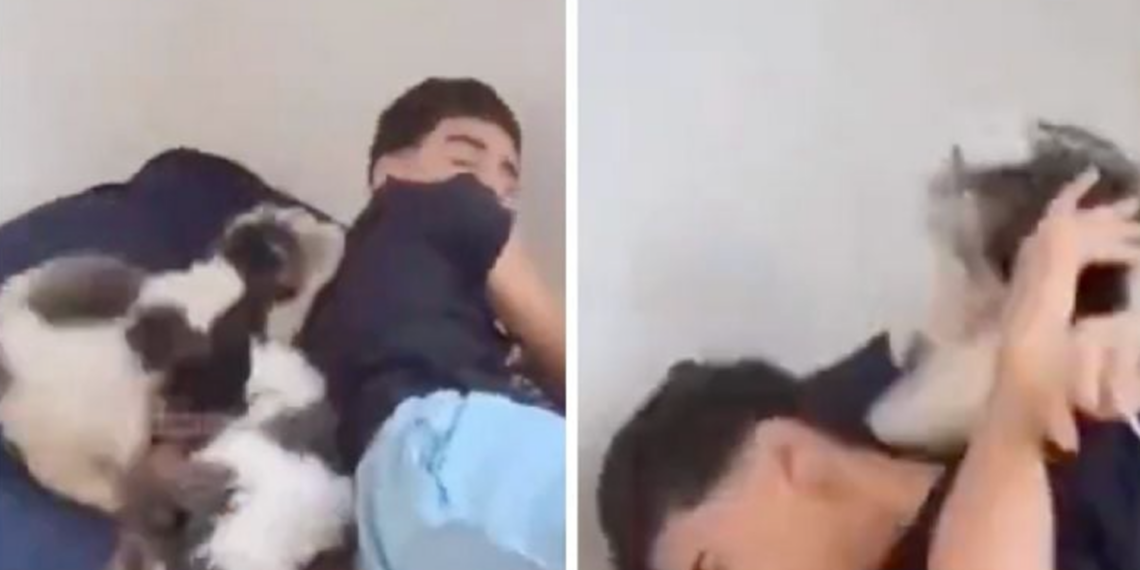 Cachorros “despiertan” a joven y se vuelven virales en redes sociales