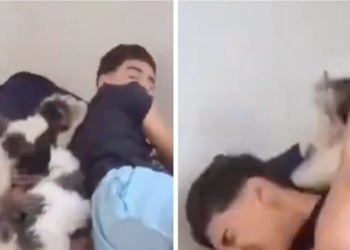 Cachorros “despiertan” a joven y se vuelven virales en redes sociales