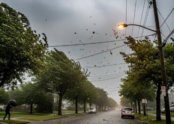 UNAM alerta por posible “super El Niño” entre 2026 y 2027 con impactos extremos en México