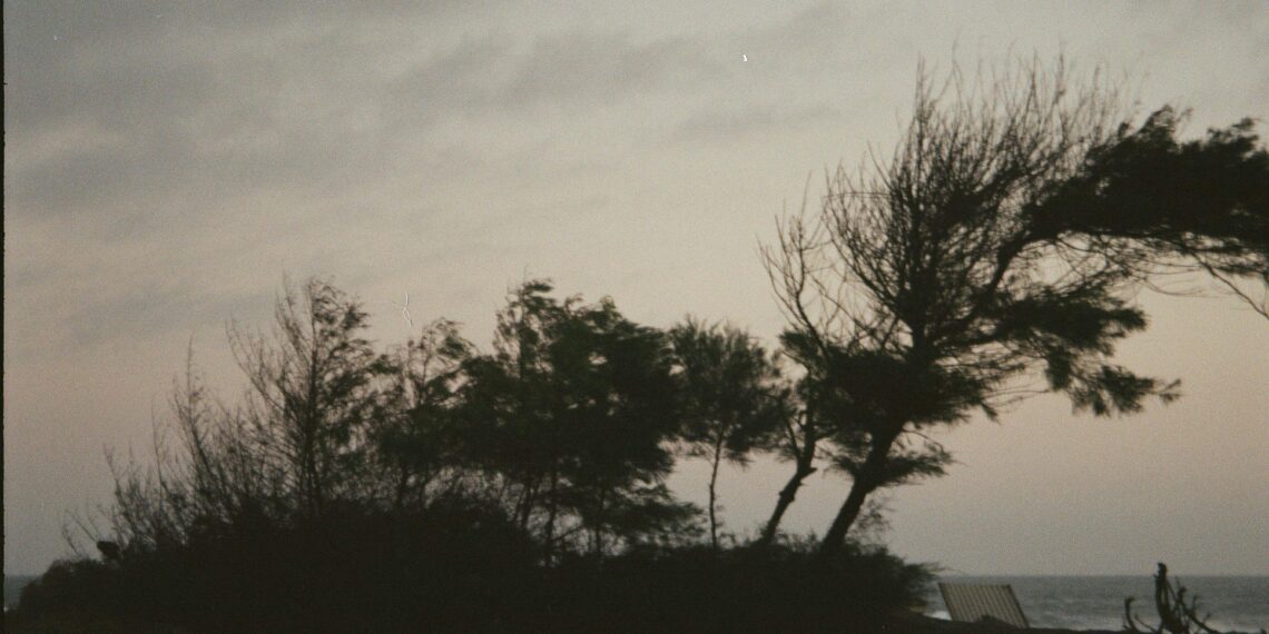 Clima en la región: prevén vientos con ráfagas de hasta 45 km/h