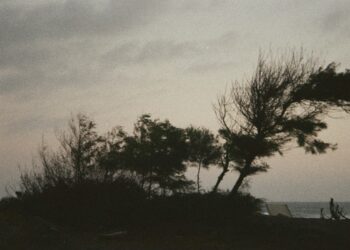 Clima en la región: prevén vientos con ráfagas de hasta 45 km/h