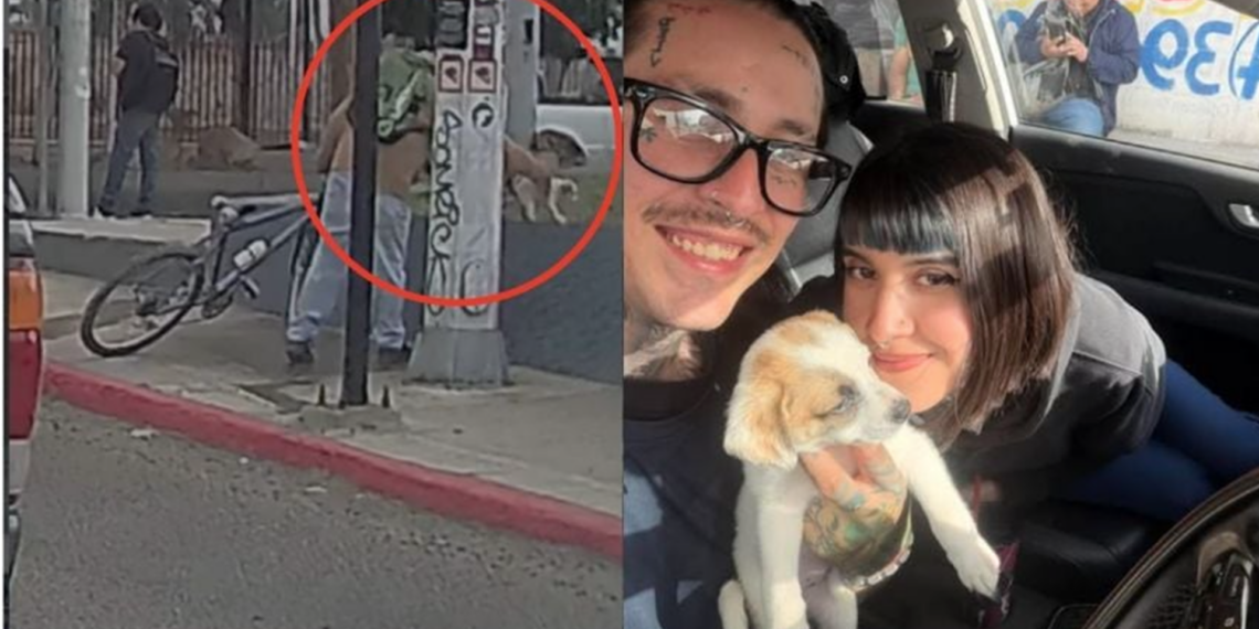 Rescatan a cachorrita abandonada en Tijuana; su historia conmueve en redes sociales