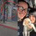 Rescatan a cachorrita abandonada en Tijuana; su historia conmueve en redes sociales