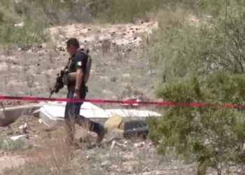 Hallan osamenta durante operativo de búsqueda en el Valle de Juárez; investigan si corresponde a dos personas
