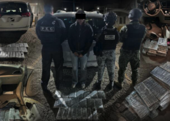No traía cinturón y descubren más de 59 mil dosis de presunta cocaína ocultas en su vehículo en Guanajuato