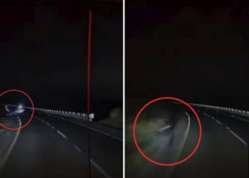 Trailero arrolla a presuntos asaltantes para escapar de robo en la autopista Puebla-Orizaba