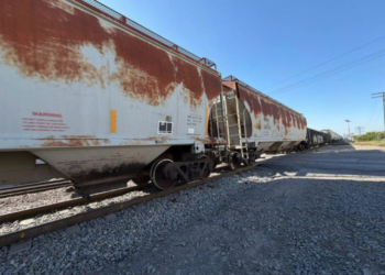 Niña muere arrollada por el tren en Saltillo; madre iba por su hija a la primaria cuando ocurrió la tragedia