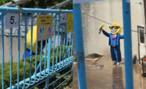 Arrestan a dos estadounidenses por intentar acercarse a “Punch”, el mono viral de Japón