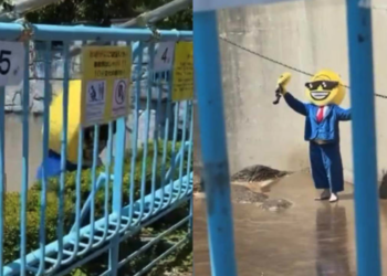 Arrestan a dos estadounidenses por intentar acercarse a “Punch”, el mono viral de Japón