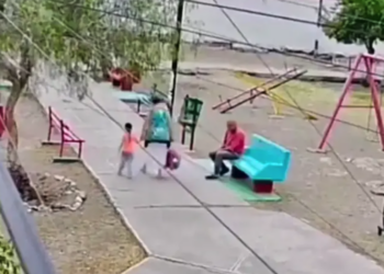 Abuelita resulta lesionada tras agresión con una piedra en Saltillo; presunto responsable fue detenido