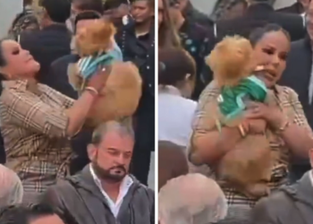 Se deslinda de su madre tras polémica por presunto maltra.to animal y demanda contra periodistas