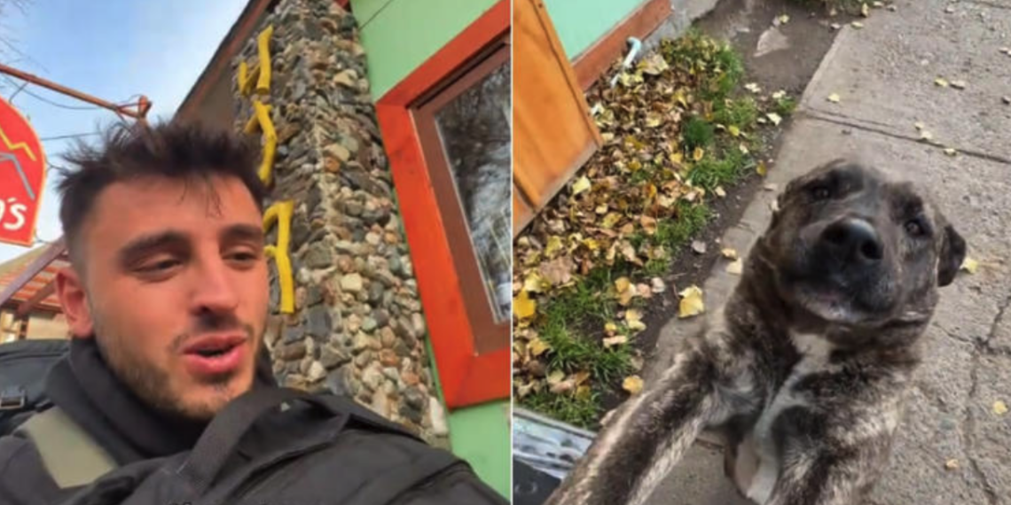 Turista se despide de perrita en la Patagonia y conmueve a millones en redes