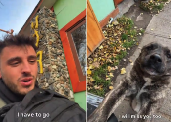 Turista se despide de perrita en la Patagonia y conmueve a millones en redes