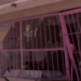 Comerciantes se quejan tras daños provocados por "Rápida y Furiosa"