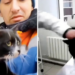 Rescatan a gato abandonado entre basura y trabajador termina adoptándolo