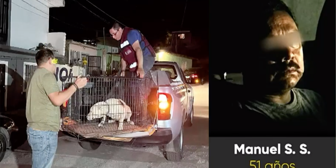 Detienen a hombre acusado de bru.tal mal.trato animal en la colonia Felipe Ángeles