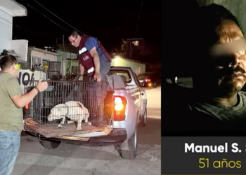 Detienen a hombre acusado de bru.tal mal.trato animal en la colonia Felipe Ángeles