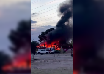 Tragedia en Horizon City: incendio cobra la vida de una mujer y sus cuatro mascotas