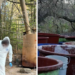 FGR mantiene investigaciones por laboratorio clandestino localizado en Morelos, Chihuahua