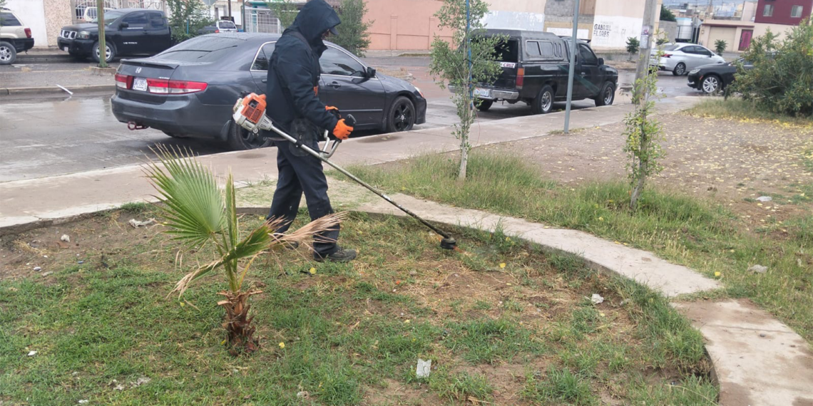 Mejoran parque en Horizontes del Sur para beneficio de familias